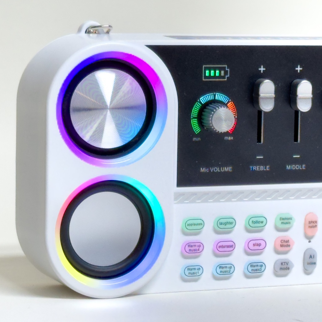 Carryable Multifunctional Wireless Speaker + Mixer optional wireless microphones 